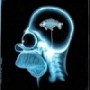 Avatar utilizator
