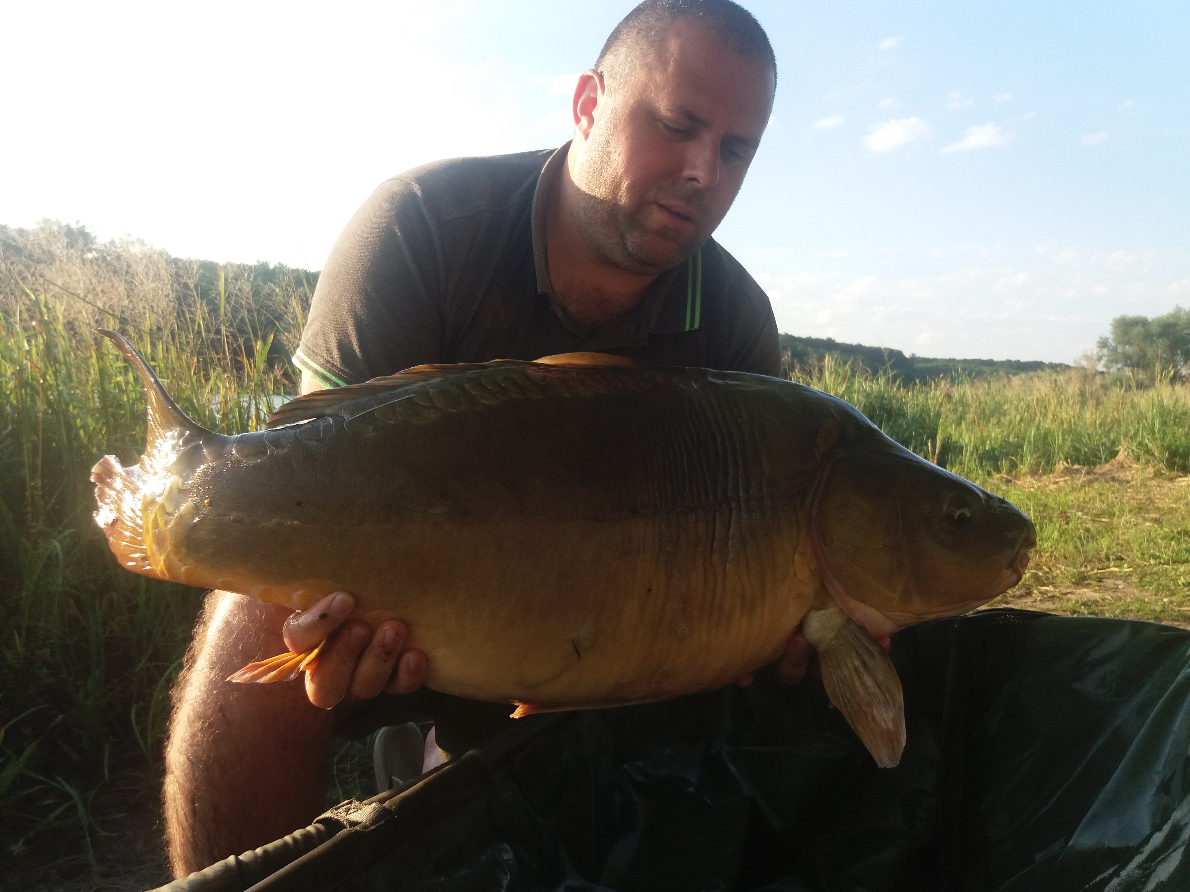 20180805_074216.jpg